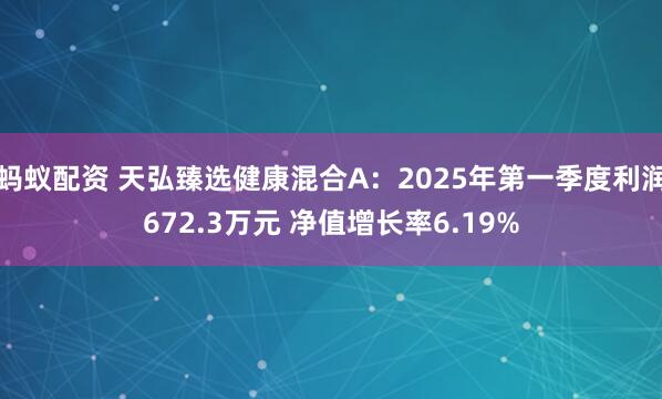 蚂蚁配资 天弘臻选健康混合A：2025年第一季度利润672.3万元 净值增长率6.19%