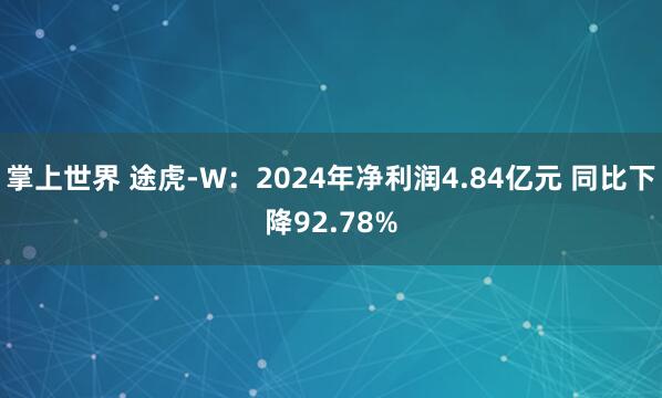 掌上世界 途虎-W：2024年净利润4.84亿元 同比下降92.78%